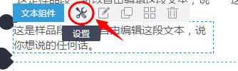 进入文本设置项.png