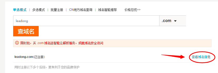 查看域名信息.png
